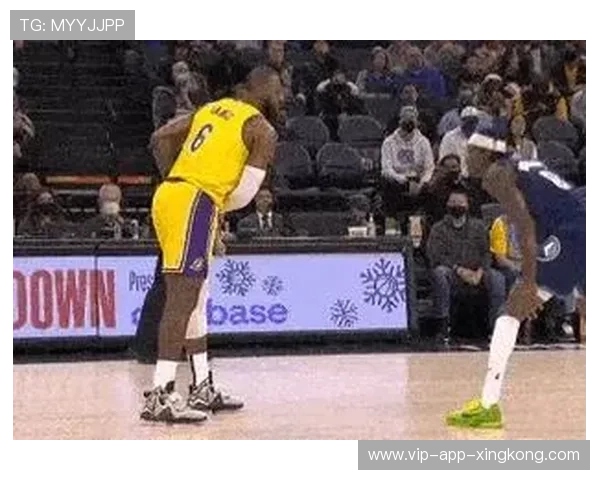 勇士vs国王:球员动态与比赛预测,勇士vs国王数据今天